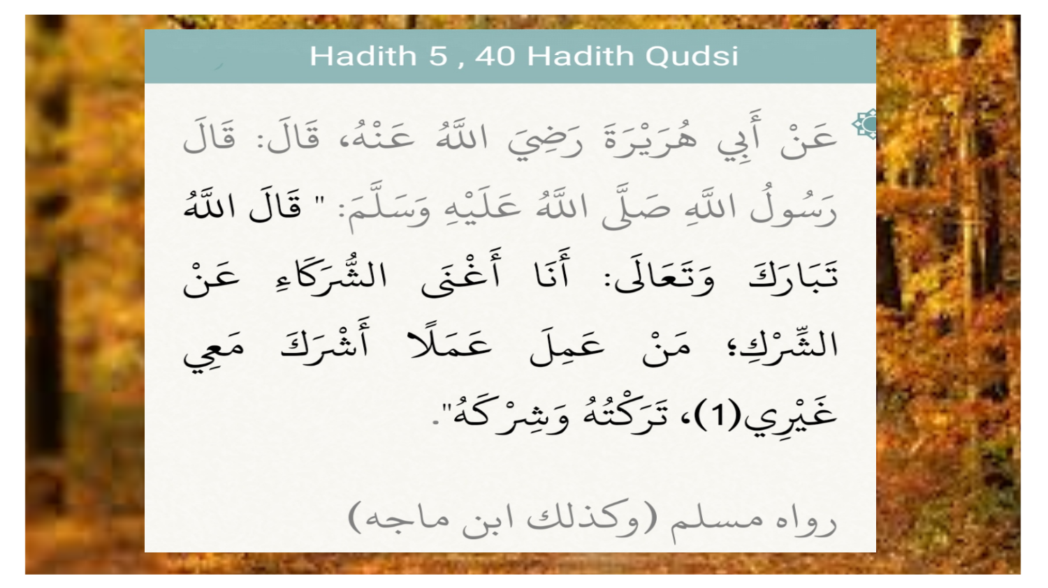 Hadith – 5, 40 Hadith Qudsi